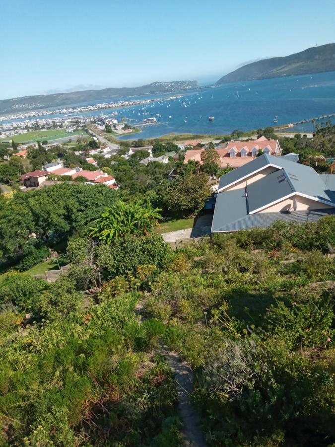 Knysna Paradise Guesthouse Εξωτερικό φωτογραφία